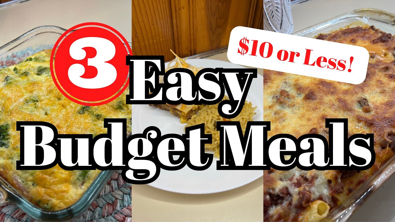Feeding my family for only $10! 3 EASY BUDGET MEALS || $10 Dinners