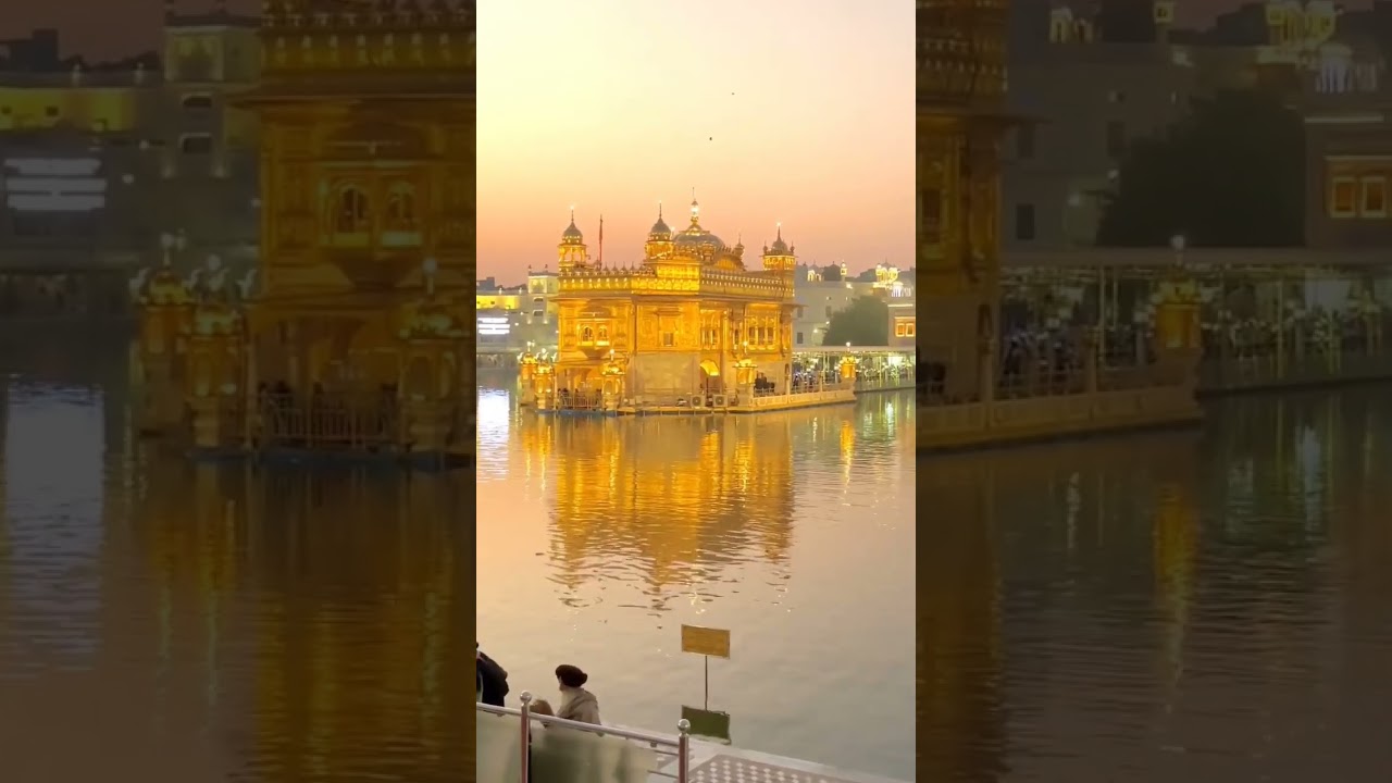 #shorts #short #shortvideo #subscribe #viral #live #gurbani #goldentempleji #wmk #viral #goldenteml