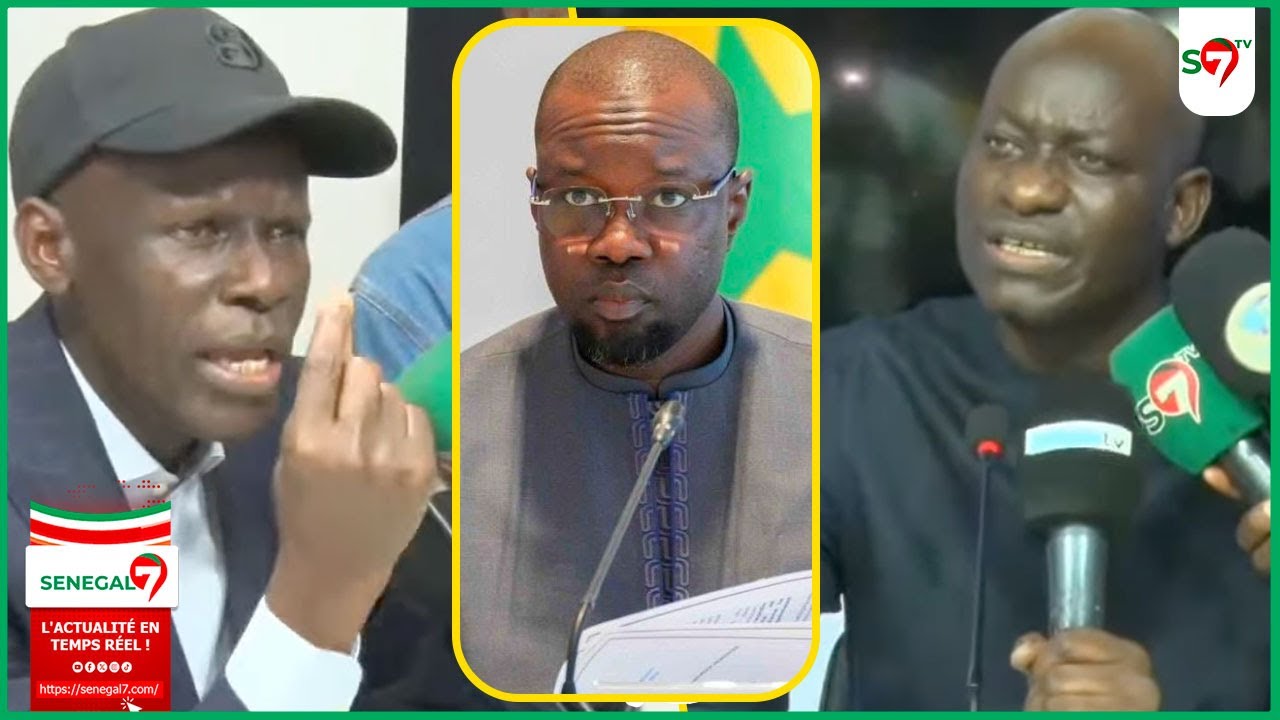 Lance Feeñal Digital: les dures vérités de Wally Diouf Bodian devant Abass Fall & cie