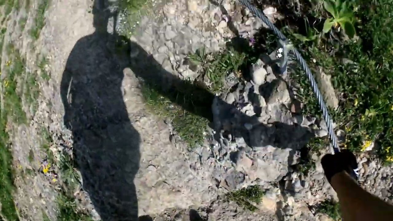 Allg&auml;uer Alpen Wanderung Mittag zum Hochgrat