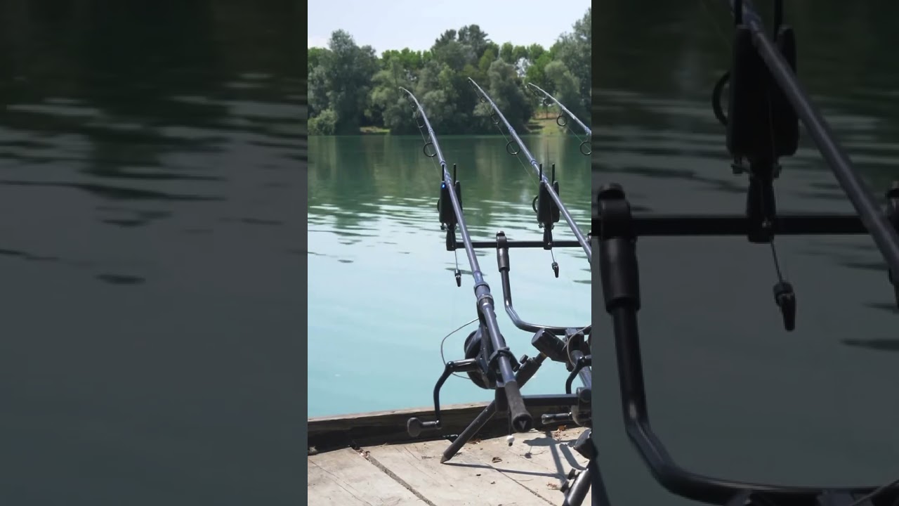 FULLRUN 🐳🔥 #shorts #carp #carpfishing #jrc #lake #fishing