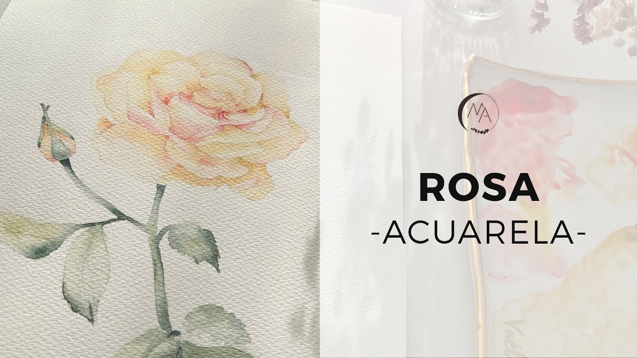 Como pintar una rosa en acuarela