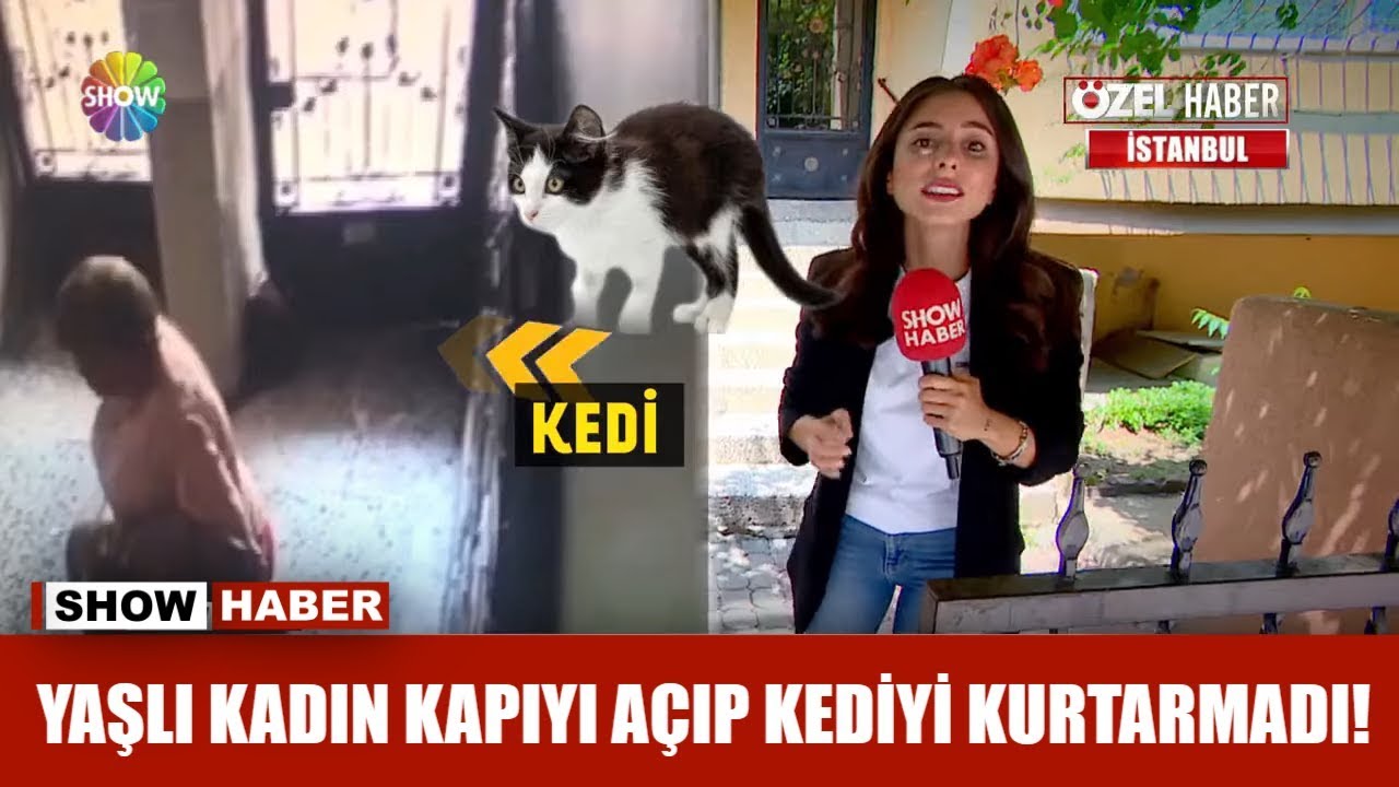 Yaşlı kadın kapıyı açıp kediyi kurtarmadı!