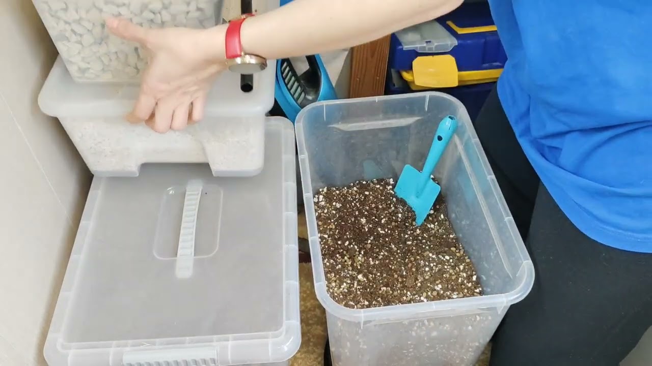 Работа с растениями. Влог.