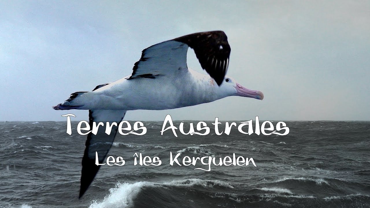 Terres Australes ~ Les îles Kerguelen