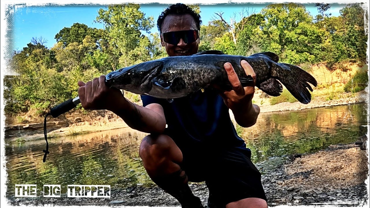 I Caught A PB Flathead But What Happened Next Was Wild!
