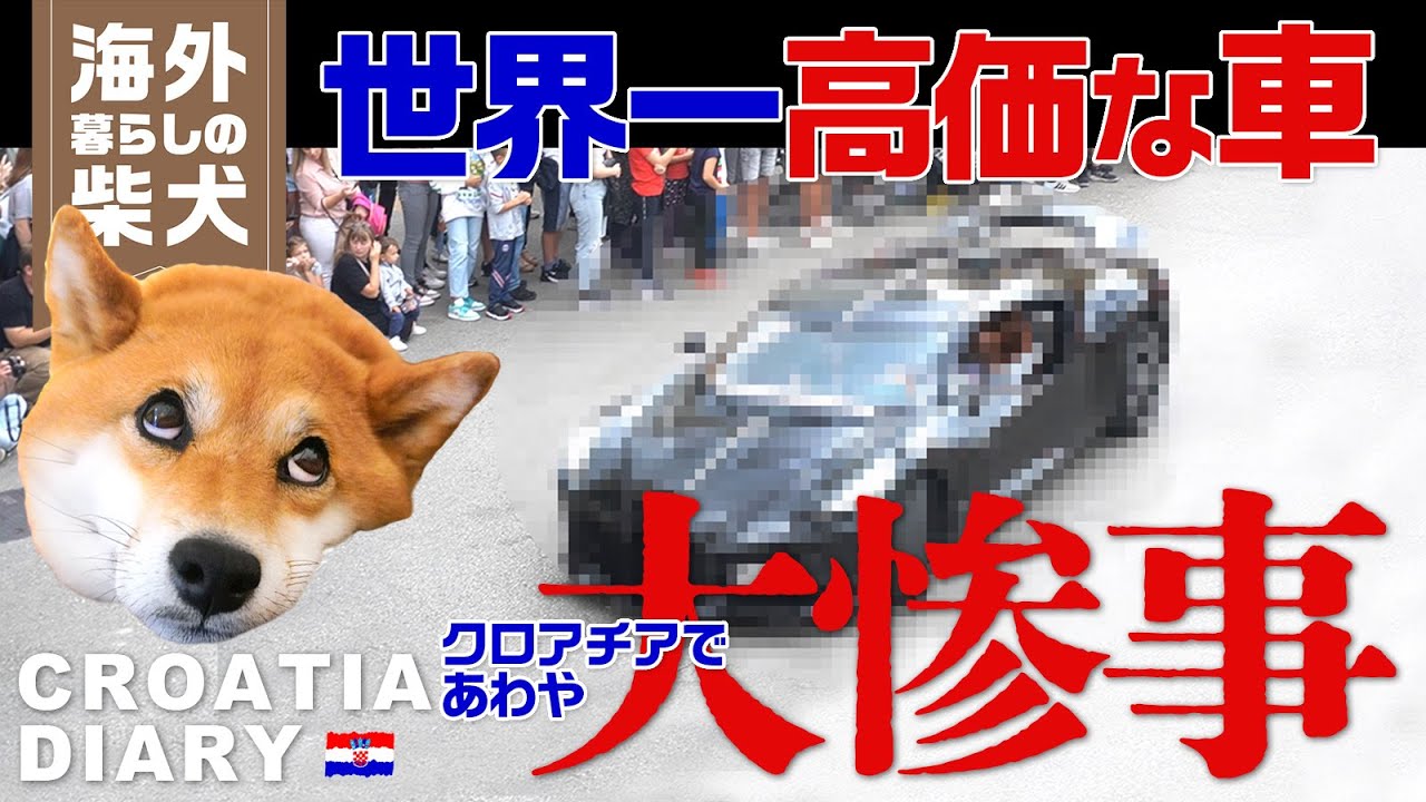 【20億円超え】世界一高価な車ブガッティがあわや大惨事！ももっぷ家のベランダからの景色【クロアチア暮らしの柴犬】