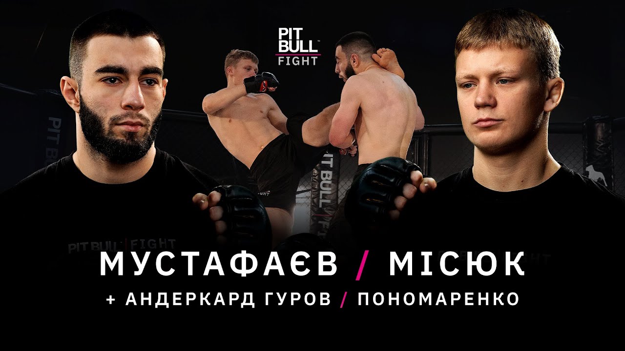 Перевірка титулів на міцність | PBF 5 сезон