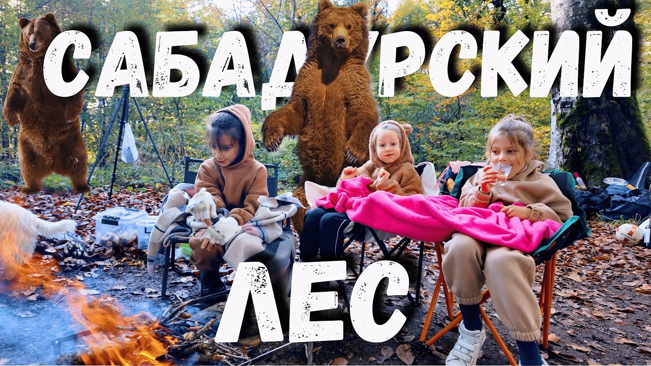 Сабадурский лес. Приют медведей. Тианети. #travel #sabaduri #sakartvelo #tbilisi #bear