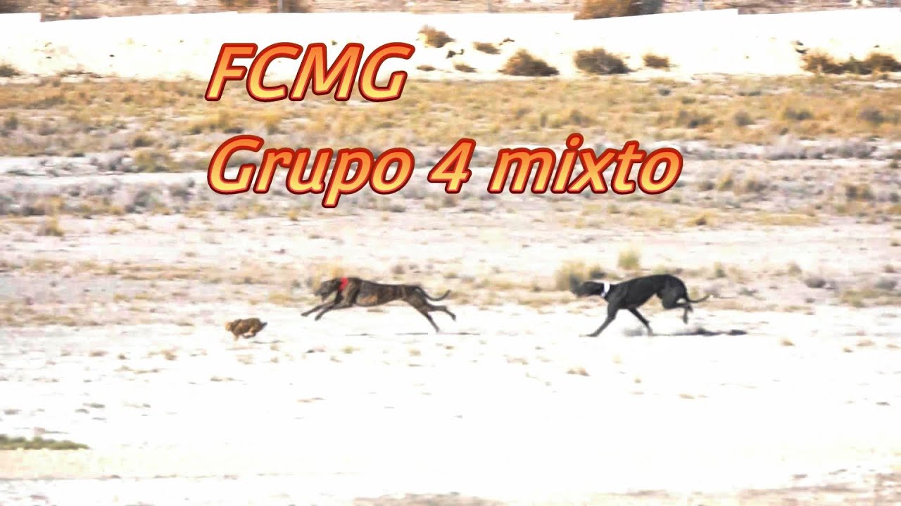 Preliminares Grupo 4 Mixto FCMG finca Los Prados, 17 Noviembre 2023