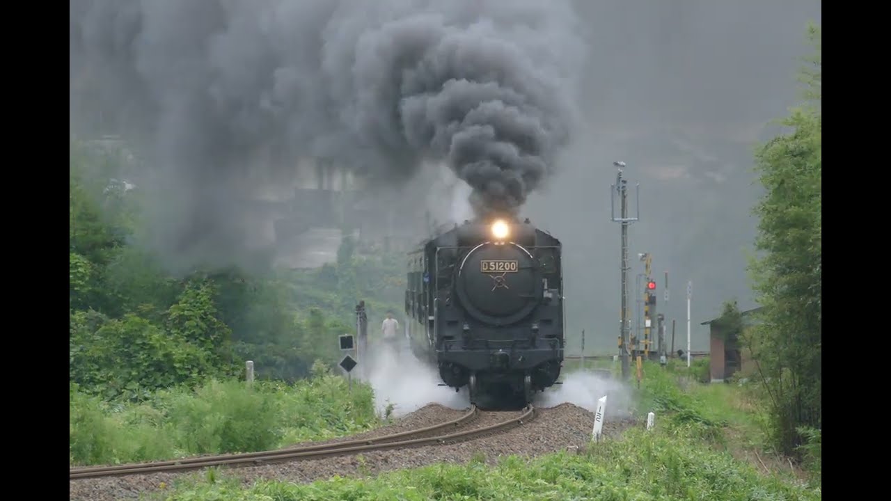帰ってきたぞ♪帰ってきたぞ♪D51200