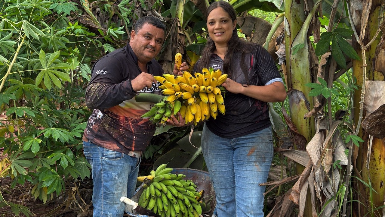 Será que depois de tanto tempo sem gravar aqui no rancho ainda tem colheita pra mostrar? 🌽🍌