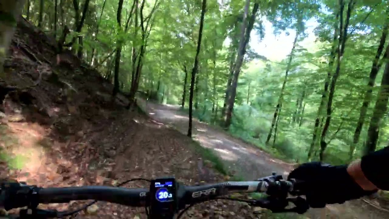 Conexi&oacute;n Sonnenberg &ndash; Zeiningen | Local MTB en Rheinfelden 🇨🇭 eMTB Megamo Flame CRB 03, Parte 1
