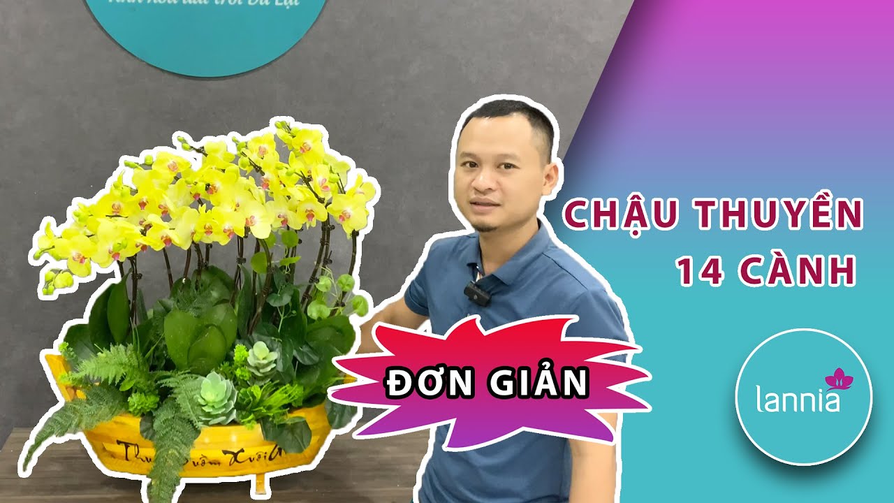Hướng dẫn cắm chậu lan Hồ Điệp độc đáo chỉ với 14 cành |Hoàng Nghiệp Hoa Lan