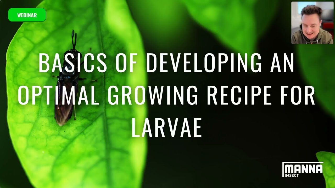 Manna Insect presents: Basics of developing an optimal growing recipe for larvae