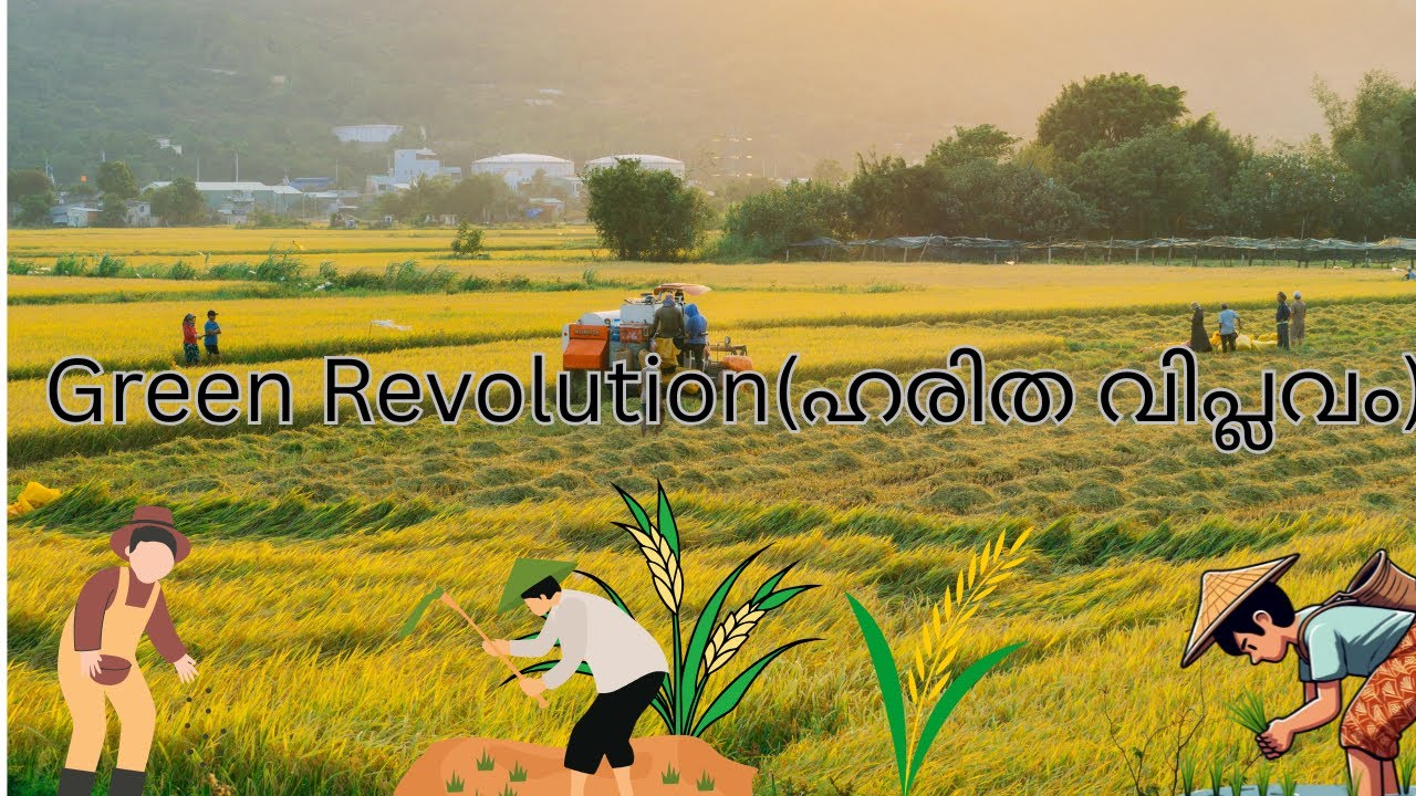 Green Revolution/Malayalam Explanation🌱