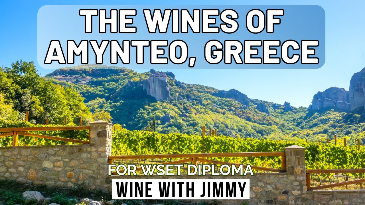 The wines of Amynteo for WSET Level 4 (Diploma)
