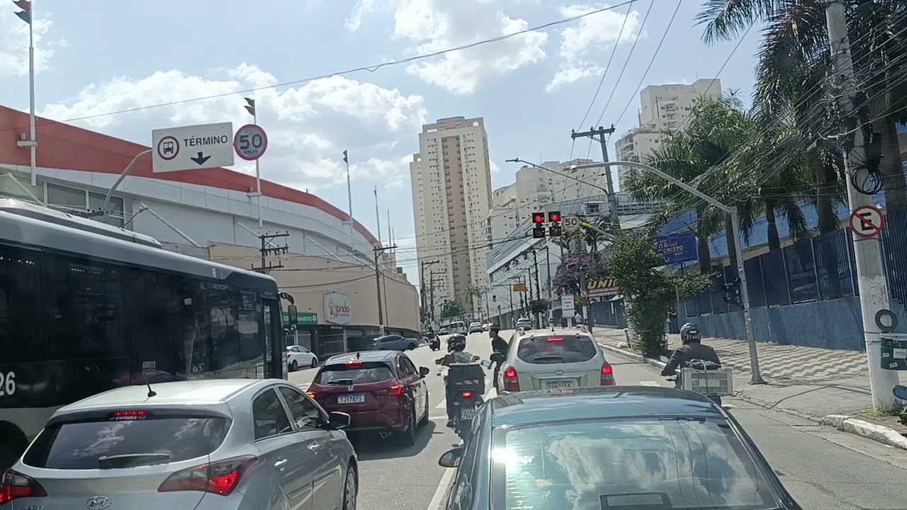 CONTINUAÇÃO DO VÍDEO ANTERIOR , REGIÃO DO ESTADO DO PALMEIRAS 😳🧐