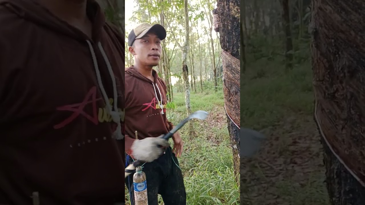 contoh karet yang sudah rusak akhirnya sehat kembali dengan perawatan yang tepat