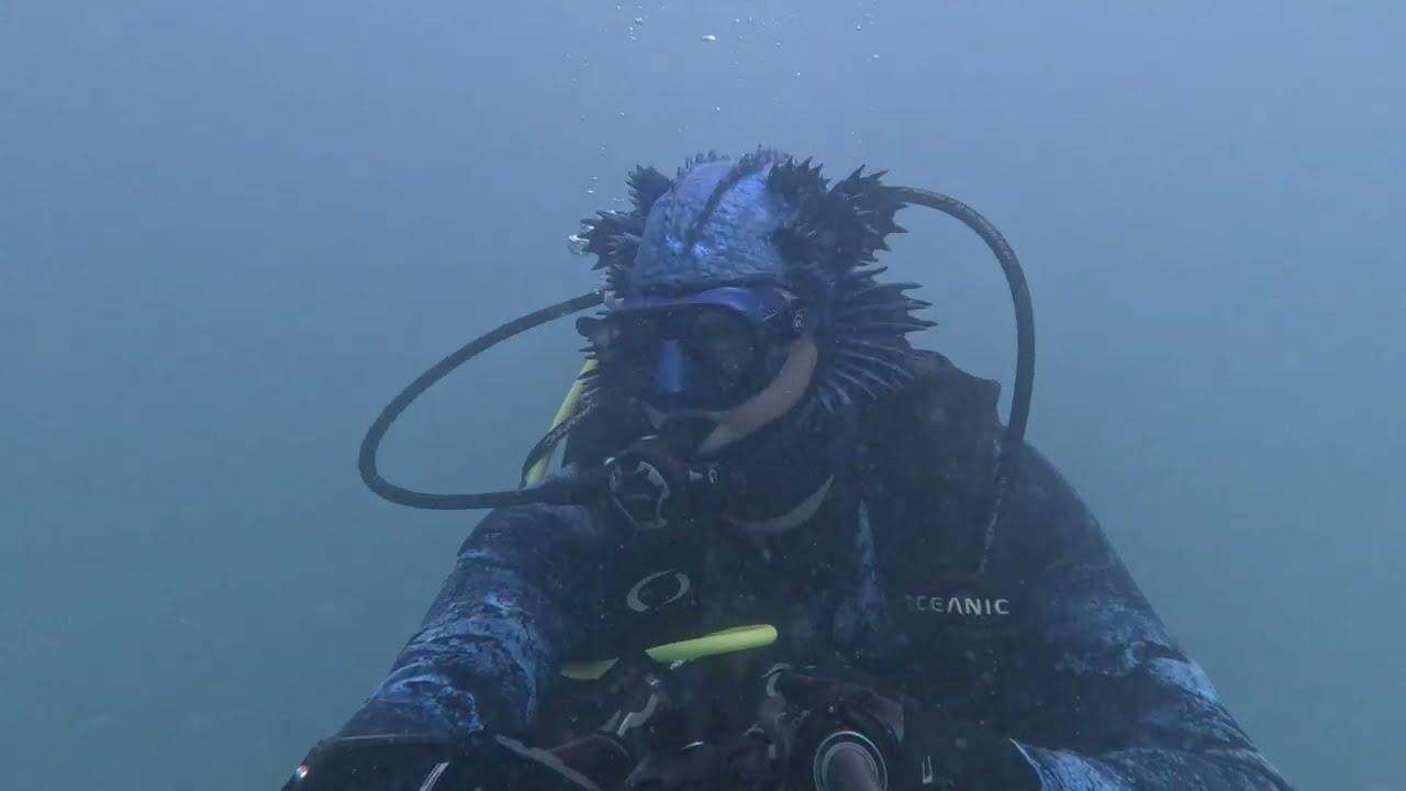 north mole wreck dive