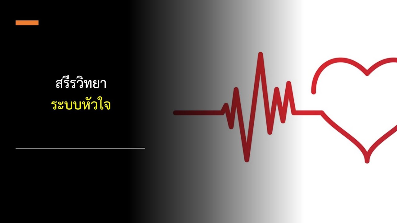สรีรวิทยาระบบหัวใจ