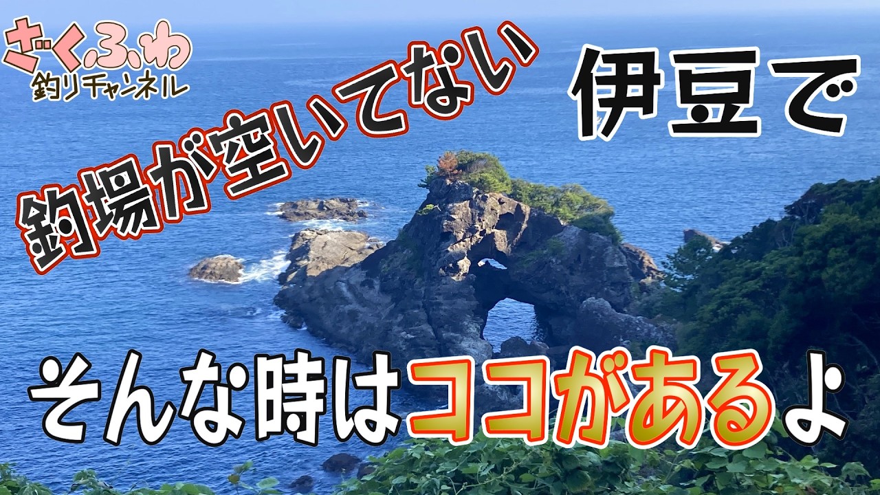 伊豆で釣場が空いてなくて困ったら河津がオススメ！青物・ヒラスズキ・イカの実績豊富なお手軽磯たち！【ロックショア】【ショアジギ】