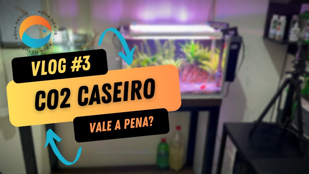 🔵Vlog#3 