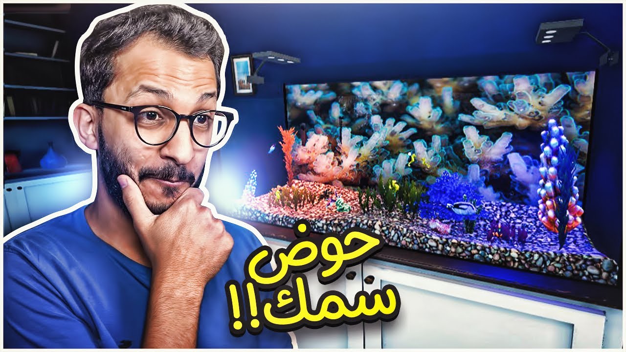 تصميم أحواض الأسماك! Aquarist