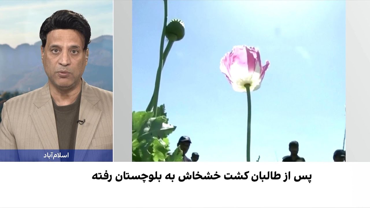 گزارش تکان‌دهنده از موج تازه مواد مخدر در پاکستان