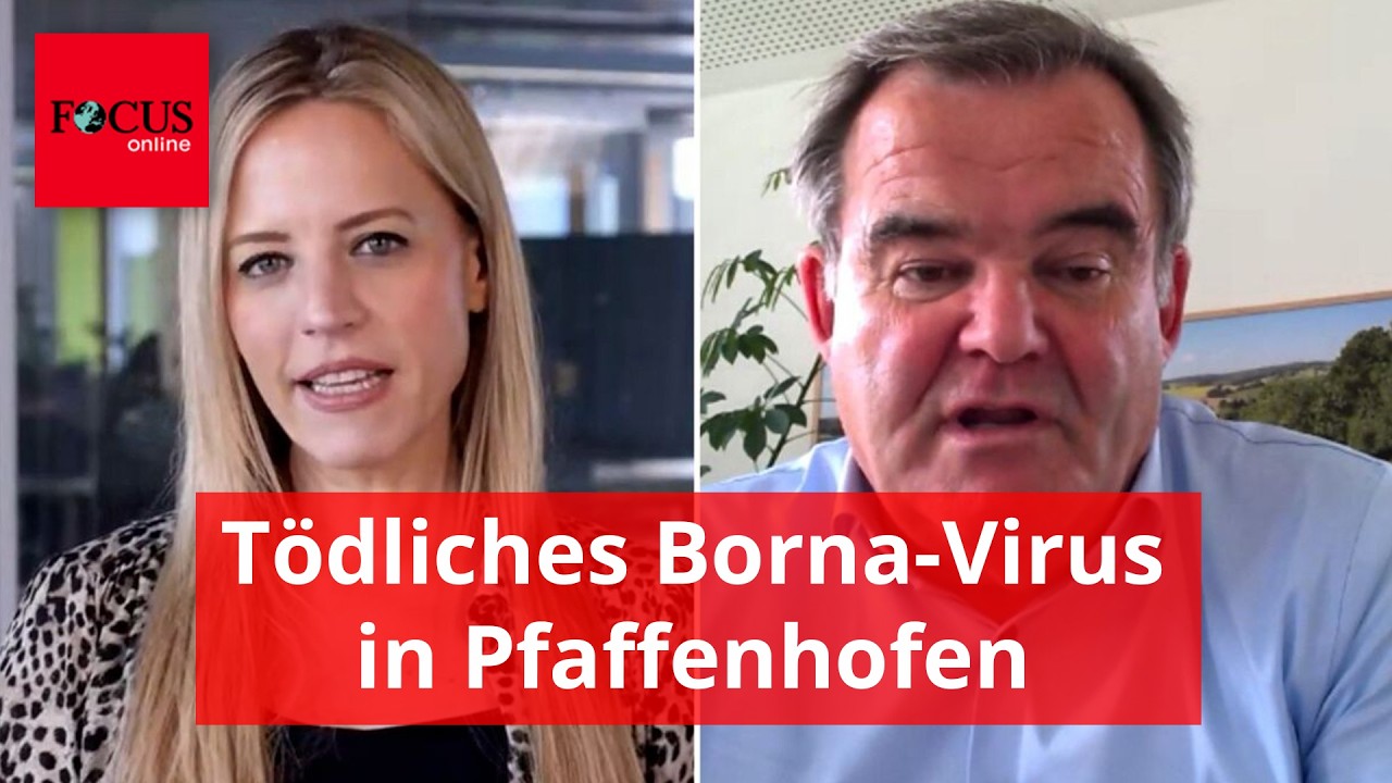 Tödliches Borna-Virus trifft Pfaffenhofen doppelt – jetzt spricht der Landrat