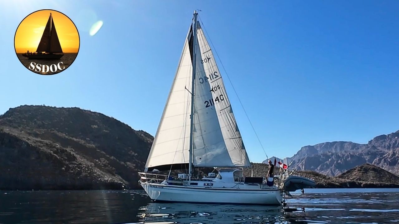 Baja Sailing и акула украла нашу рыбу! | Жизнь круизера в Мексике — Эпизод 95