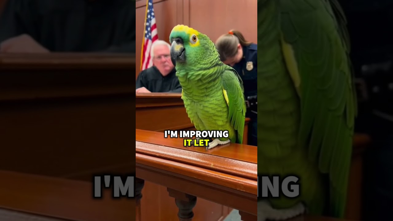 Попугая арестовали&hellip; Но вместо этого он высмеял копов 😂🦜