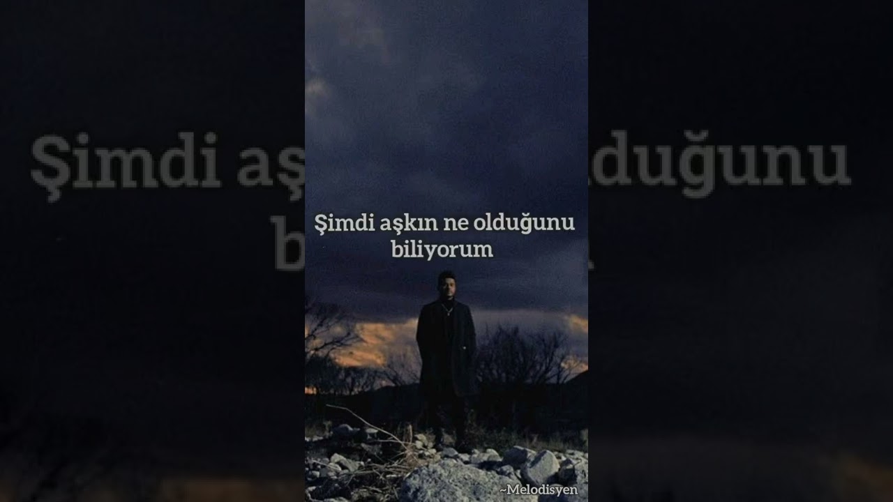 The Weeknd ~I was never there ( Türkçe Çeviri)