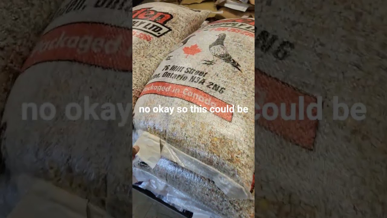 Feed prices and feed mix for pigeons. @goldeneyeloft