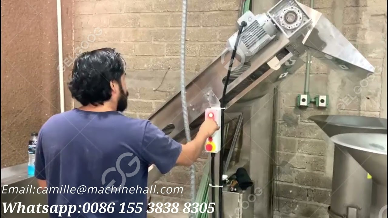 Pineapple Fruit Washing Machine In Our Customer Factory