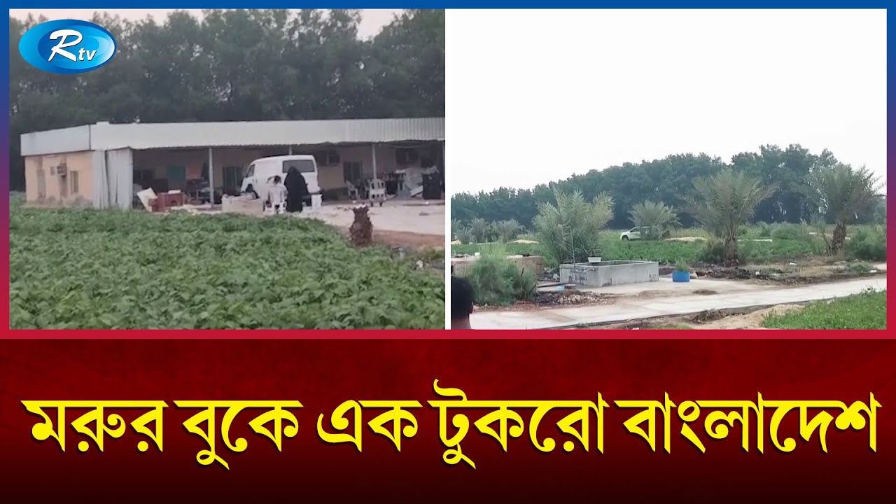 সৌদি আরবে কৃষিতে সফল বাংলাদেশিরা | Saudi Arabia | Agriculture | Rtv News