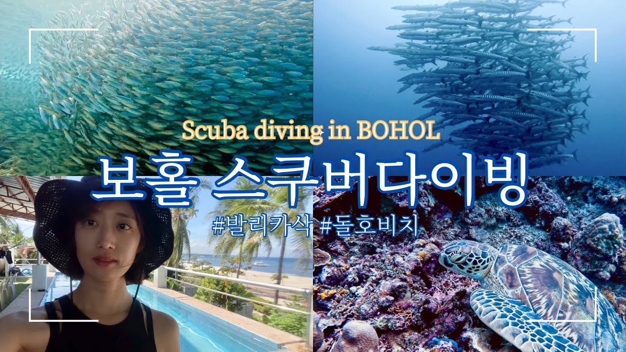 퇴사 후 돌호비치에서 평화를 찾은 다이버의 스쿠버다이빙 브이로그