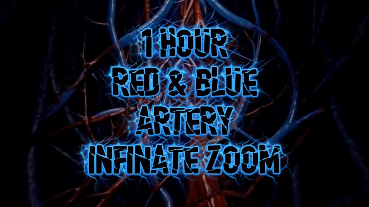 1 Hour Endless Artery Tunnel Zoom | Red And Blue Veins Horror Ambient Loop