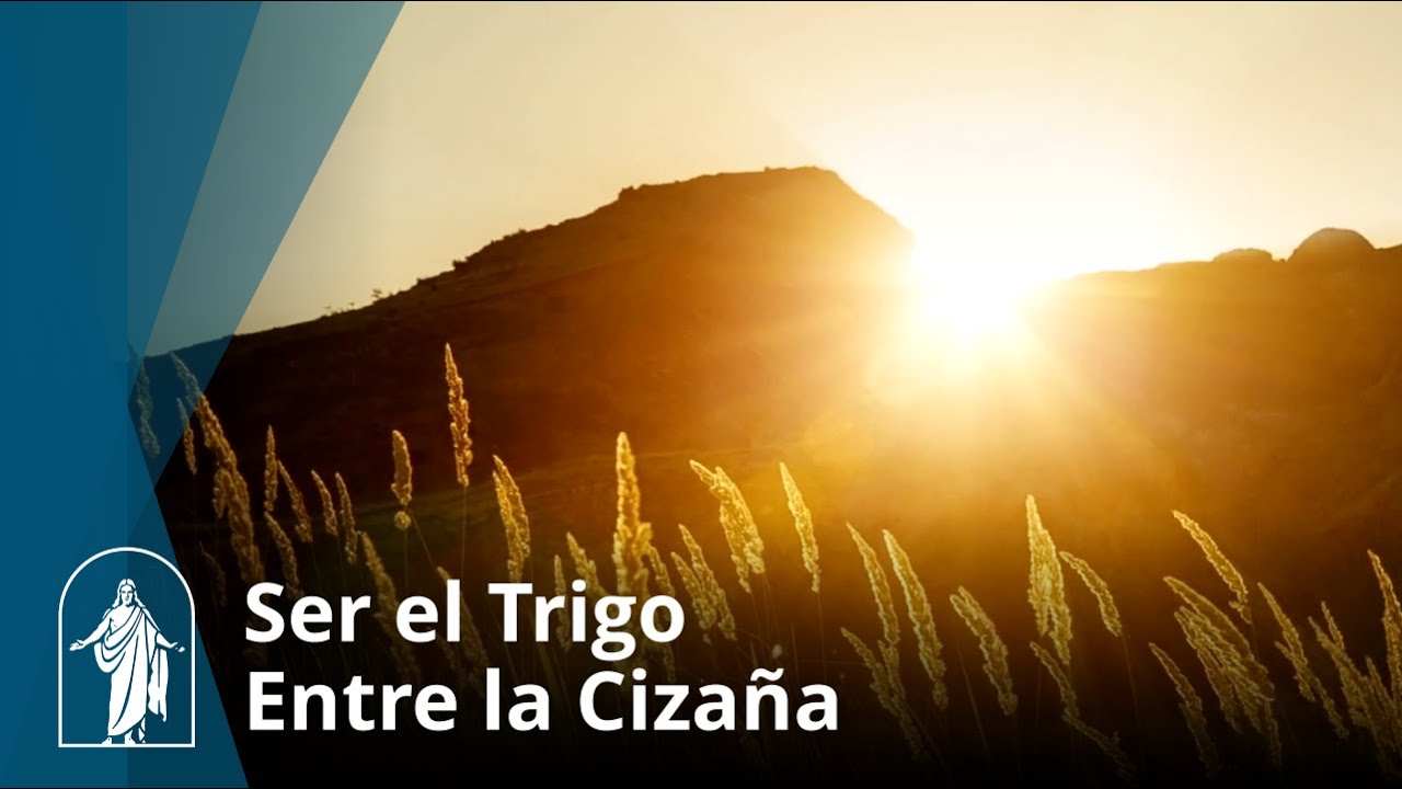 Ser el Trigo Entre la Cizaña