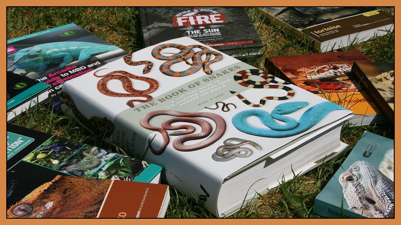 What Are Some Of The Best Reptile Care Books
