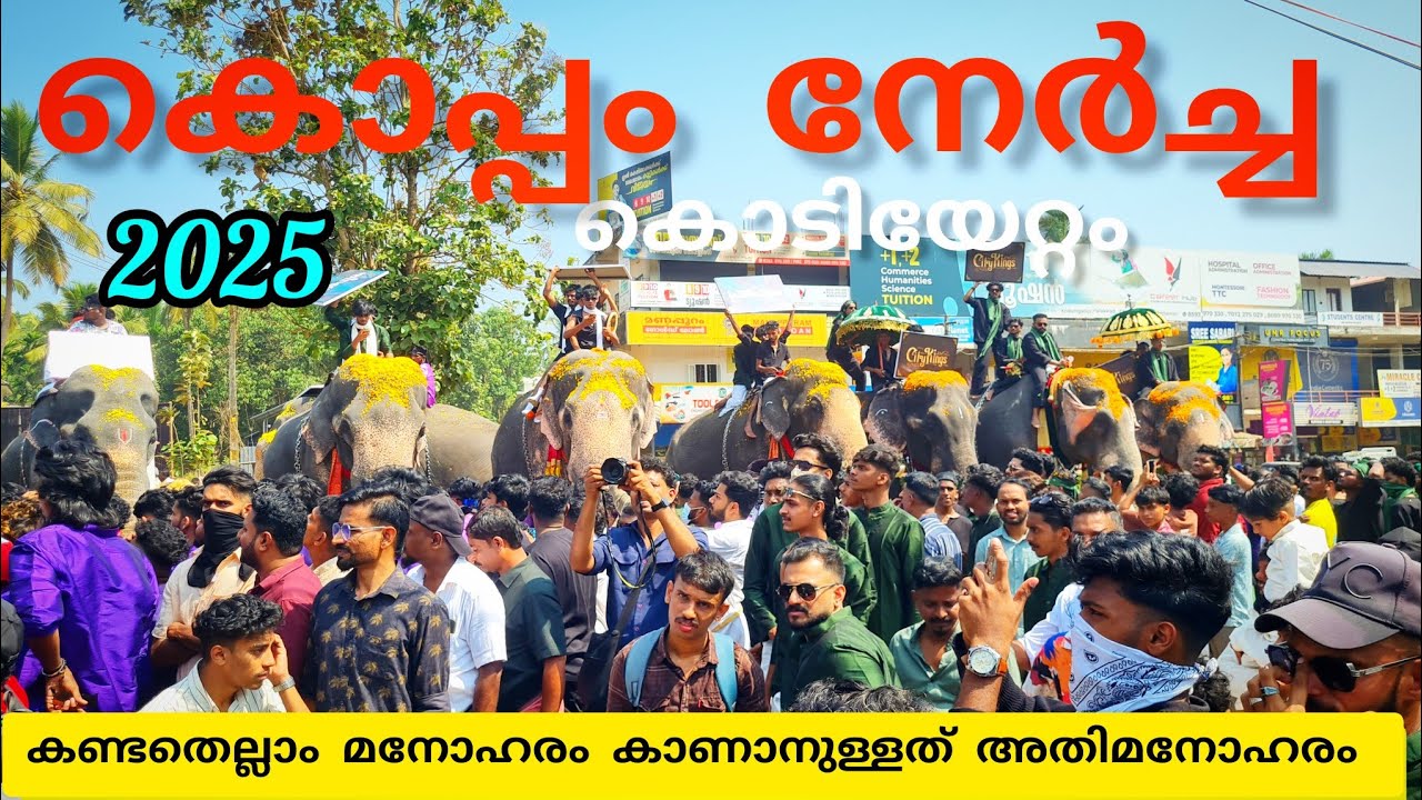 കൊപ്പം നേർച്ച കൊടിയേറ്റത്തിൽ ആനകളെ കൊണ്ട് നിറഞ്ഞു #nercha #lathevlogs #elephant
