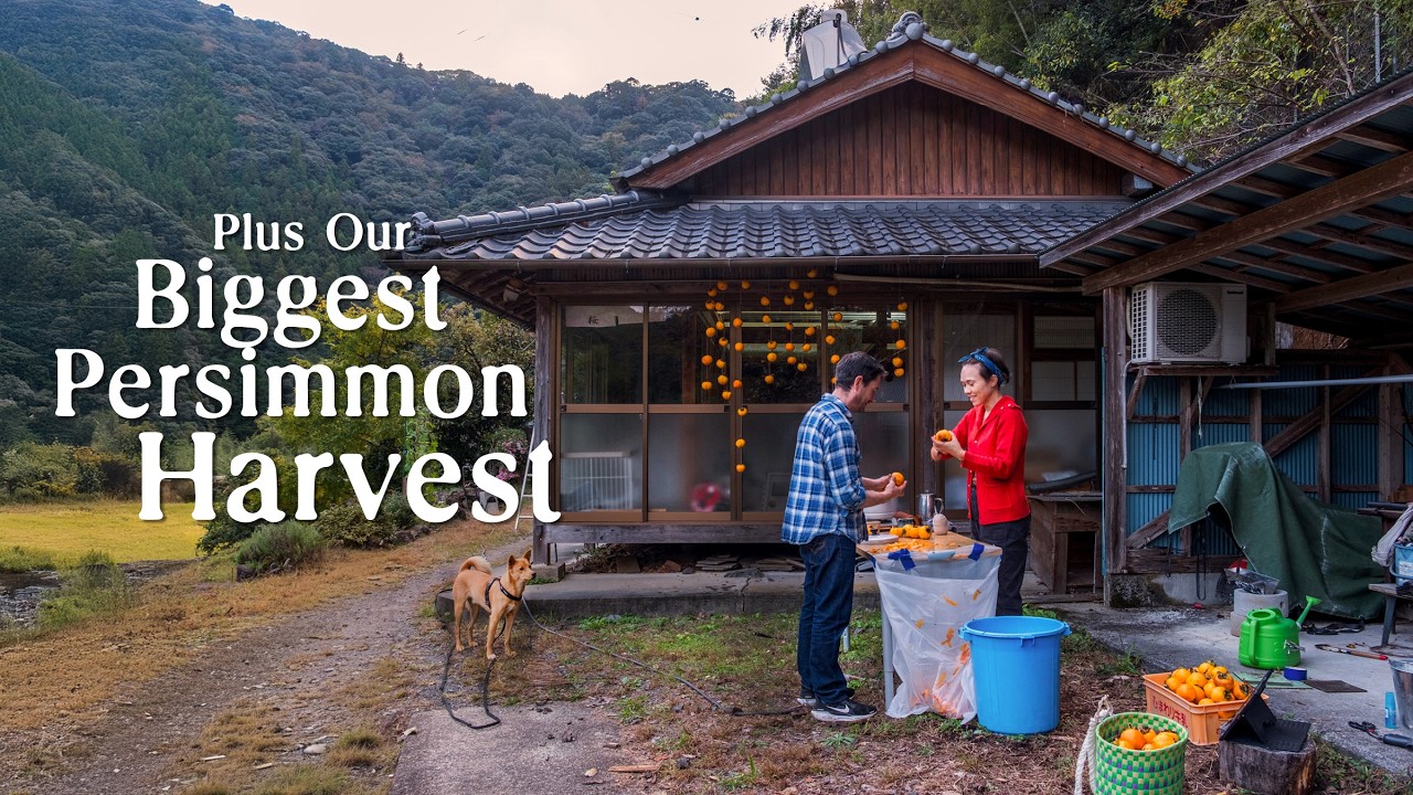 What Autumn Was Like This Year in the Japanese Countryside