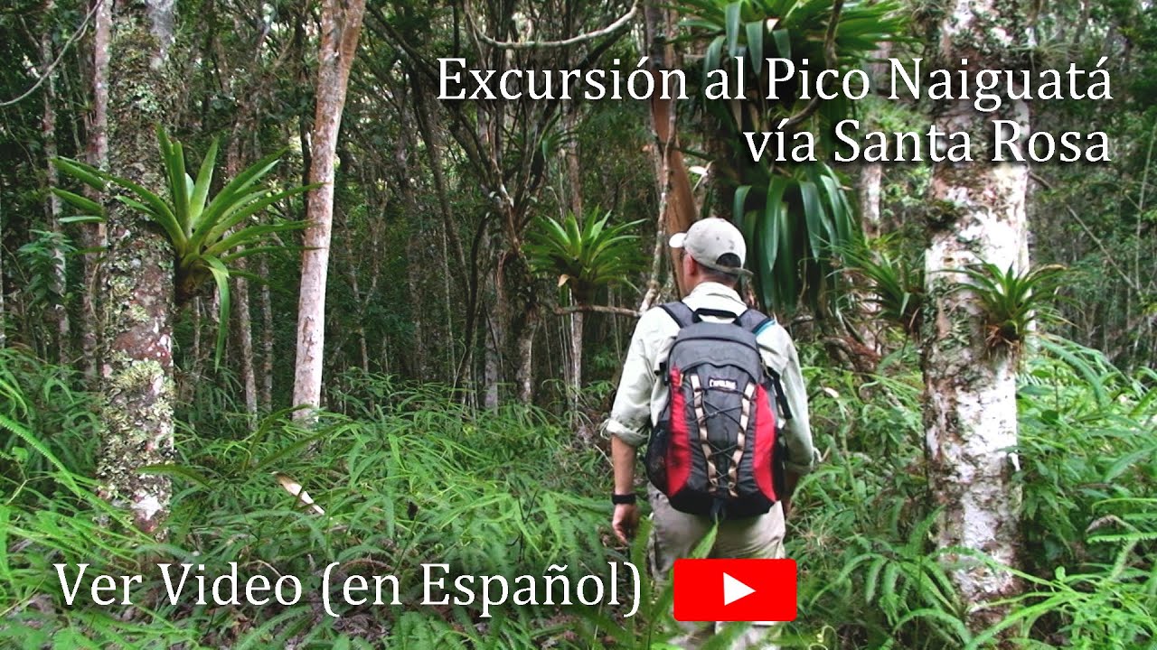 VENEZUELA - Pico Naiguatá - Vía Santa Rosa - Parque Nacional Waraira Repano (El Avila)