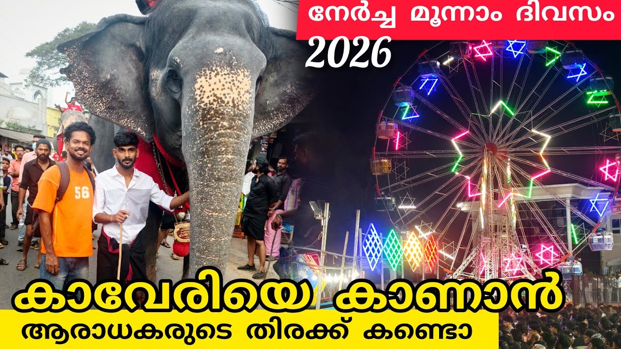 കാവേരിയെ കാണാൻ ആരാധകരുടെ തിരക്ക് കണ്ടൊ ഗയ്‌സ് #kaveri #elephant #lathevlogs #viral #2026 