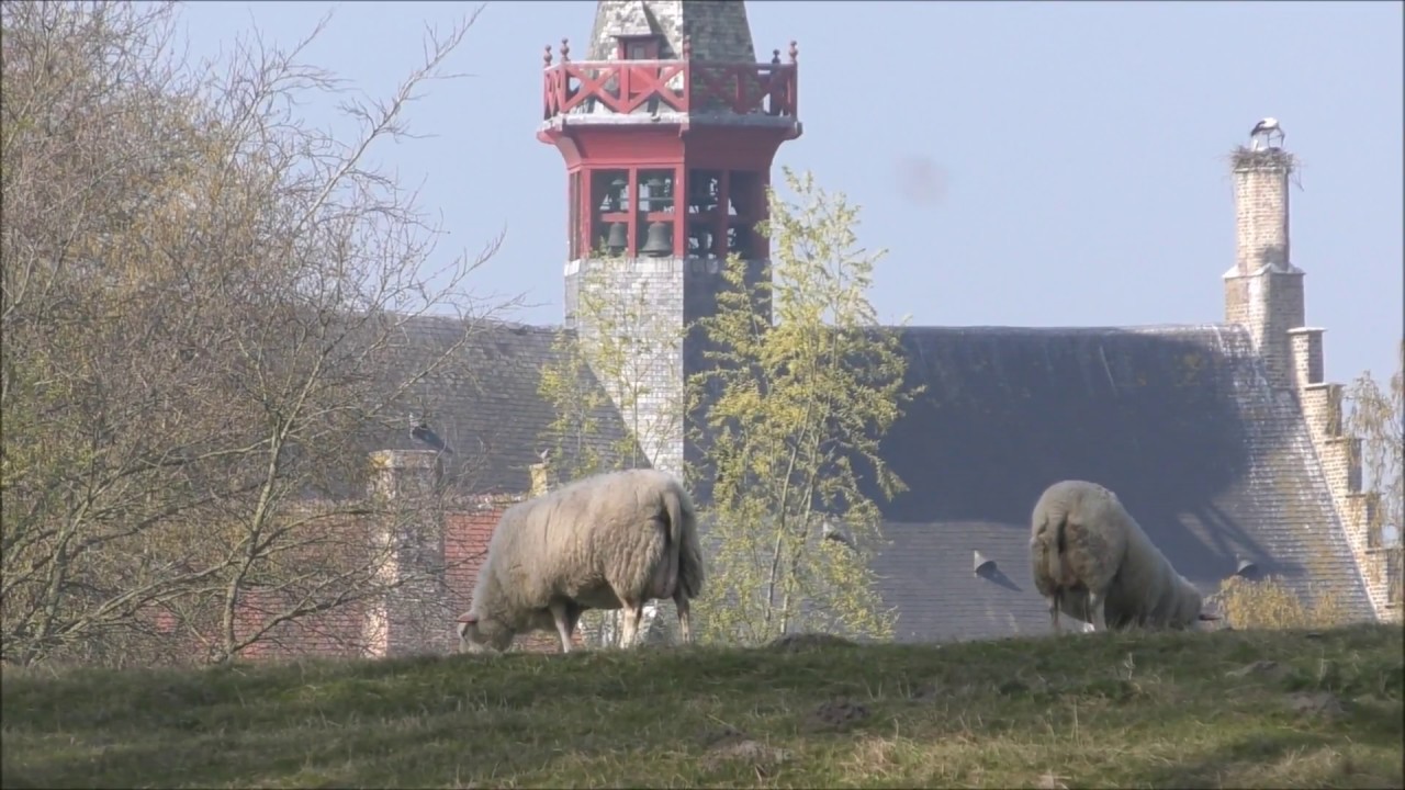 Lente in Damme - Spring in Damme