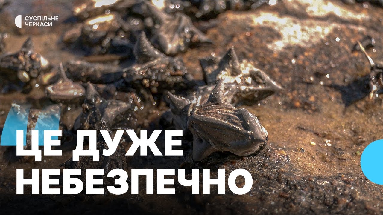 У Черкасах берег Дніпра всипаний чорними колючками