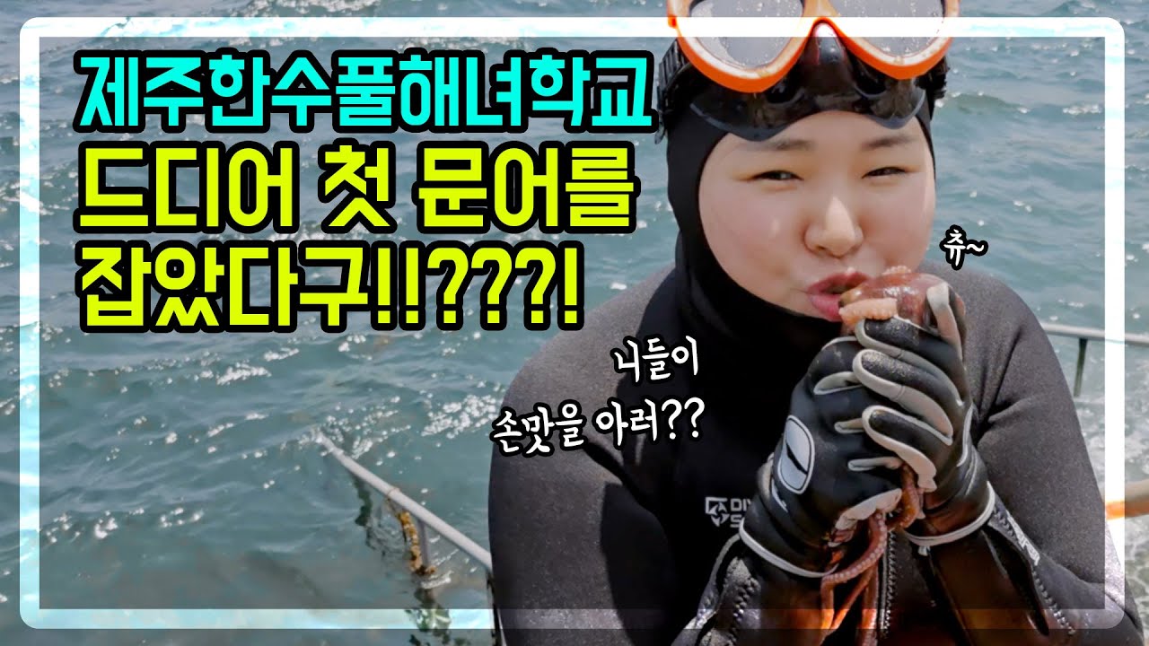 2024한수풀해녀학교｜드디어 첫 문어잡았다!!!｜감동의 도가니 첫 해녀은퇴식 개최!