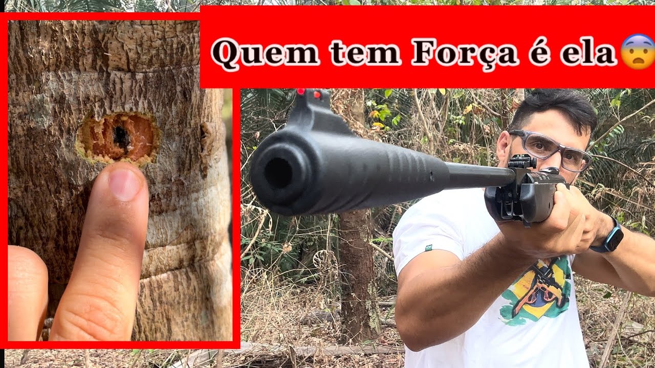 Eu ganhei o Monstro 😨! Hatsan HT 125 6.35 mm