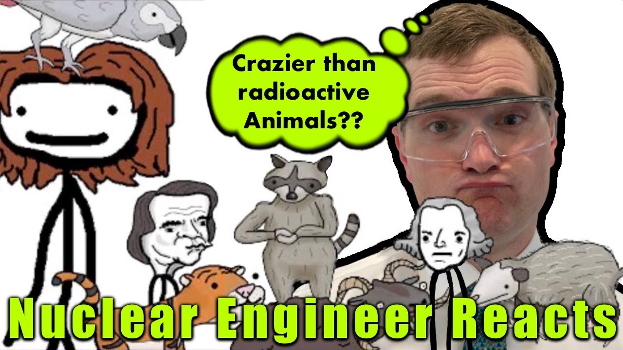 Nuclear Engineer Reacts to Sam O'Nella Academy 