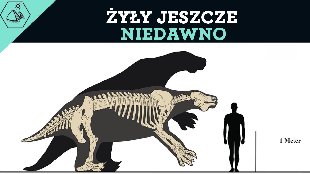 MEGAFAUNA - ZWIERZĘTA KT&Oacute;RE ISTNIAŁY W CZASACH WZNOSZENIA GOBEKLI TEPE